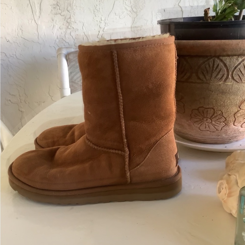 🌾 Uggs Boots